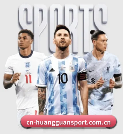 五大服务分区,信息按项目分类 - 多运动项目内容板块